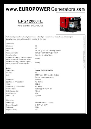 Groupes électrogènes à essence Europower EPG12000TE (S)