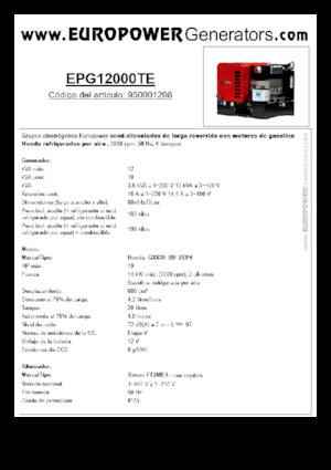 Groupes électrogènes à essence Europower EPG12000TE (S)