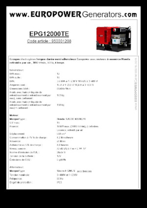 Groupes électrogènes à essence Europower EPG12000TE (S)