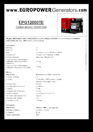 Groupes électrogènes à essence Europower EPG12000TE (S)