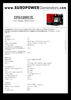 Groupes électrogènes à essence Europower EPG12000TE (S)