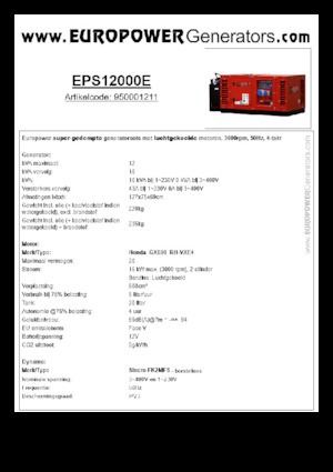 Groupes électrogènes à essence Europower EPS12000E (S)