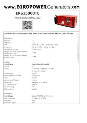 Groupes électrogènes à essence Europower EPS15000TE (S)