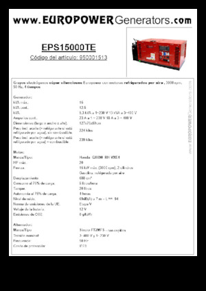 Groupes électrogènes à essence Europower EPS15000TE (S)