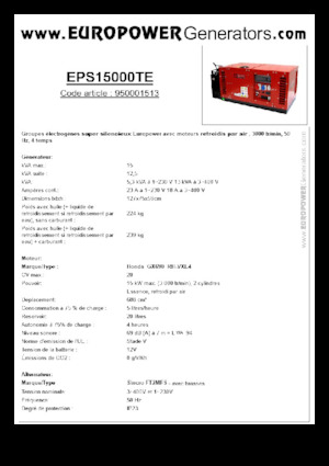 Groupes électrogènes à essence Europower EPS15000TE (S)