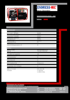 Groupes électrogènes à essence Endress ESE 1006 DBS-GT 