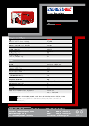 Groupes électrogènes à essence Endress ESE 1006 DHG-GT ES ISO Duplex