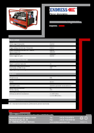 Groupes électrogènes à essence Endress ESE 1006 SDHS-DC ES / 30-300 A