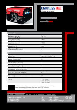Groupes électrogènes à essence Endress ESE 1206 DHS-GT ES