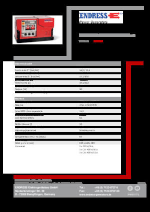 Groupes électrogènes à essence Endress ESE 1308 DBG ES ISO Duplex Silent