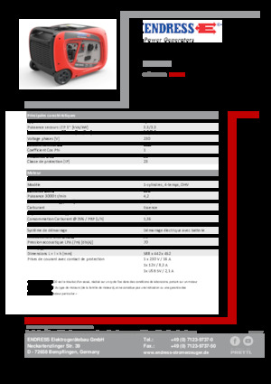 Groupes électrogènes à essence Endress ESE 3000i