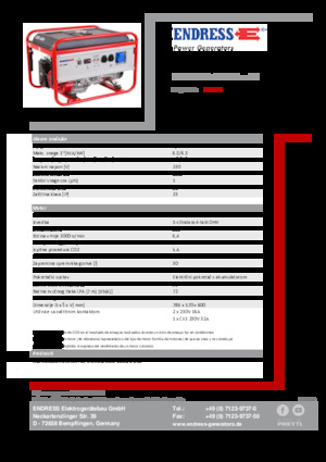 Groupes électrogènes à essence Endress ESE 606 HS-GT ES