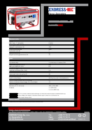 Groupes électrogènes à essence Endress ESE 606 HS-GT ES