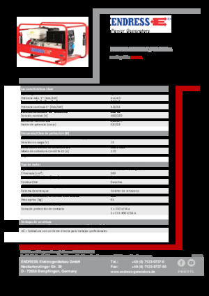 Groupes électrogènes à essence Endress ESE 804 SDHS-DC / 40-220 A