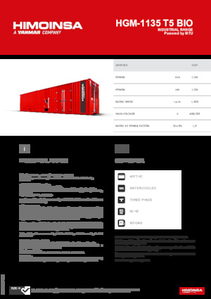 Groupes électrogènes à essence HIMOINSA HGM-1135 T5 BIO