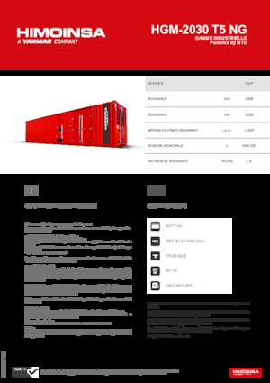 Groupes électrogènes à essence HIMOINSA HGM-2030 T5 NG