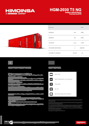 Groupes électrogènes à essence HIMOINSA HGM-2030 T5 NG