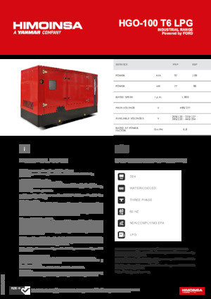 Groupes électrogènes à essence HIMOINSA HGO-100 T6 LPG