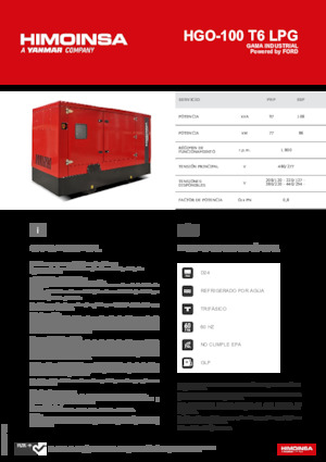 Groupes électrogènes à essence HIMOINSA HGO-100 T6 LPG