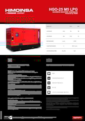 Groupes électrogènes à essence HIMOINSA HGO-25 M5 LPG