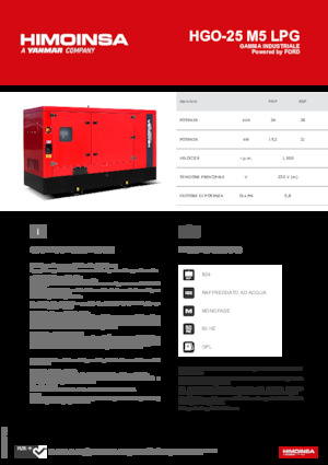 Groupes électrogènes à essence HIMOINSA HGO-25 M5 LPG
