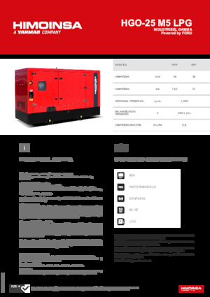 Groupes électrogènes à essence HIMOINSA HGO-25 M5 LPG