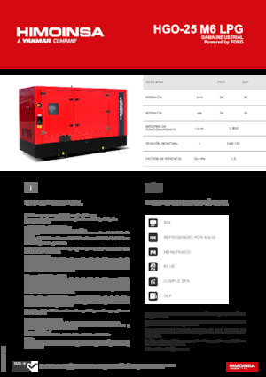Groupes électrogènes à essence HIMOINSA HGO-25 M6 LPG
