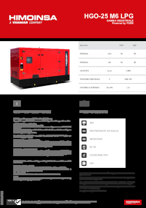 Groupes électrogènes à essence HIMOINSA HGO-25 M6 LPG