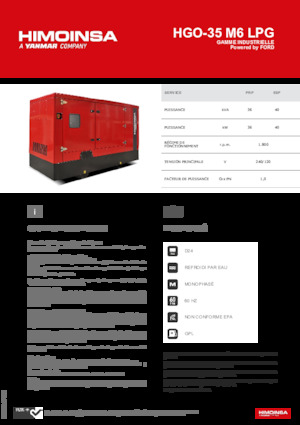 Groupes électrogènes à essence HIMOINSA HGO-35 M6 LPG