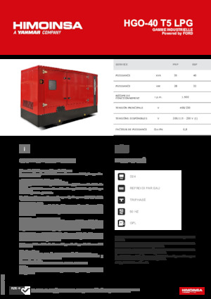 Groupes électrogènes à essence HIMOINSA HGO-40 T5 LPG
