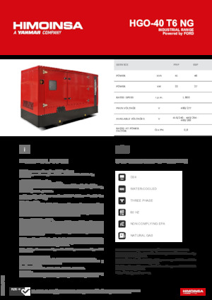 Groupes électrogènes à essence HIMOINSA HGO-40 T6 NG