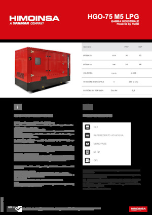 Groupes électrogènes à essence HIMOINSA HGO-75 M5 LPG