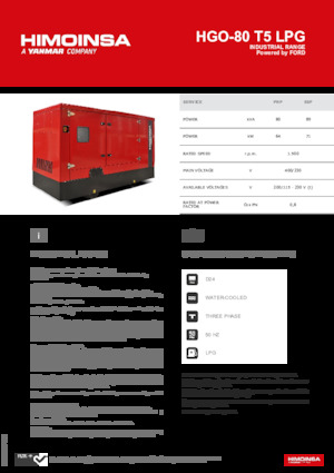 Groupes électrogènes à essence HIMOINSA HGO-80 T5 LPG