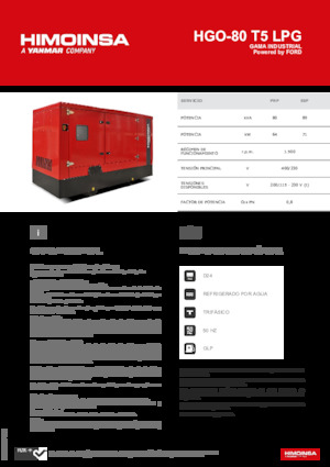 Groupes électrogènes à essence HIMOINSA HGO-80 T5 LPG
