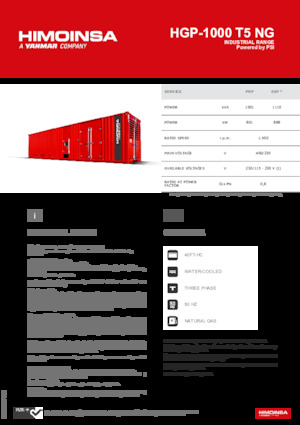 Groupes électrogènes à essence HIMOINSA HGP-1000 T5 NG