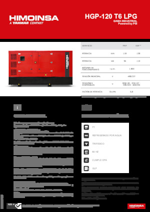 Groupes électrogènes à essence HIMOINSA HGP-120 T6 LPG
