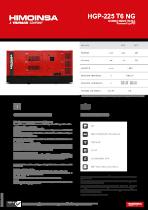 Groupes électrogènes à essence HIMOINSA HGP-225 T6 NG