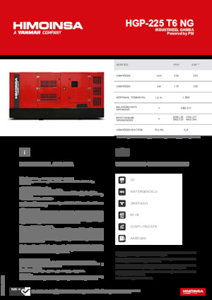Groupes électrogènes à essence HIMOINSA HGP-225 T6 NG