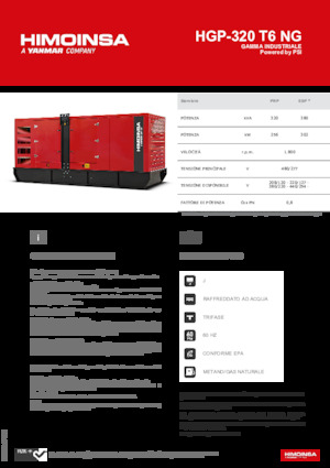 Groupes électrogènes à essence HIMOINSA HGP-320 T6 NG