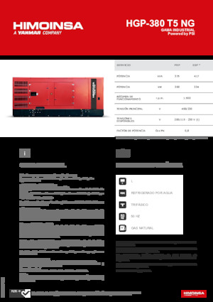 Groupes électrogènes à essence HIMOINSA HGP-380 T5 NG