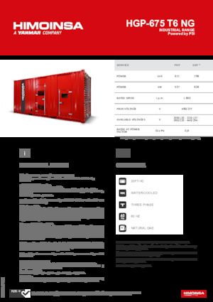 Groupes électrogènes à essence HIMOINSA HGP-675 T6 NG