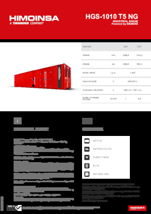 Groupes électrogènes à essence HIMOINSA HGS-1010 T5 NG
