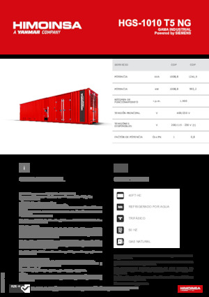 Groupes électrogènes à essence HIMOINSA HGS-1010 T5 NG