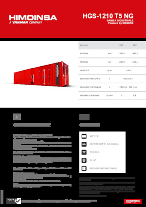 Groupes électrogènes à essence HIMOINSA HGS-1210 T5 NG