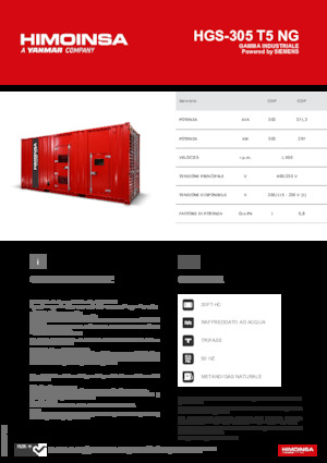 Groupes électrogènes à essence HIMOINSA HGS-305 T5 NG
