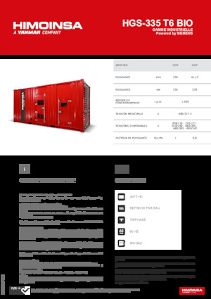 Groupes électrogènes à essence HIMOINSA HGS-335 T6 BIO