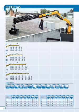 Grues de chargement hydrauliques Effer 145.11 2S