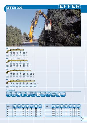 Grues de chargement hydrauliques Effer 305.11 3S