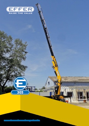 Grues de chargement hydrauliques Effer 305 5S
