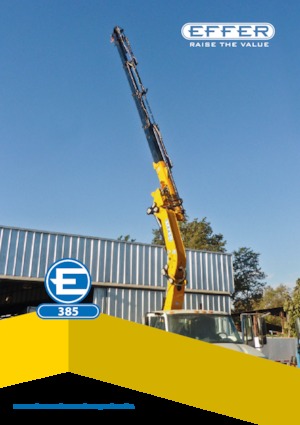 Grues de chargement hydrauliques Effer 385 6S